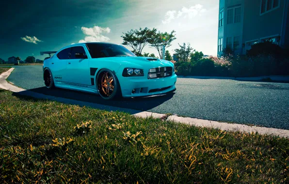 Picture Dodge, SRT8, Car, Blue, Front, Charger, Rides, Blooded