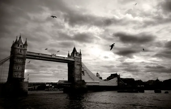 Picture the sky, clouds, birds, bridge, the city, river, black and white, London, Thames, UK, tower …