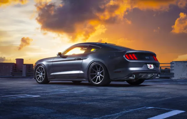 Picture Mustang, Ford, Muscle, Car, Clouds, Sky, Sunset, Wheels, Rear, 2015, Velgen
