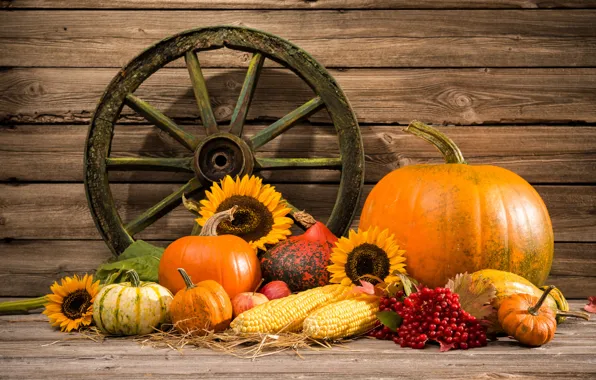 Picture autumn, harvest, pumpkin, still life, vegetables, autumn, still life, pumpkin, vegetables, harvest
