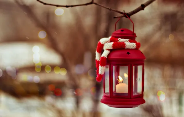 Picture winter, tree, new year, Christmas, candles, lantern, christmas, candle, lantern
