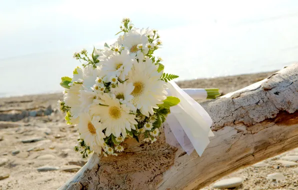Picture sand, sea, beach, the sun, chamomile, bouquet, snag, white, gerbera