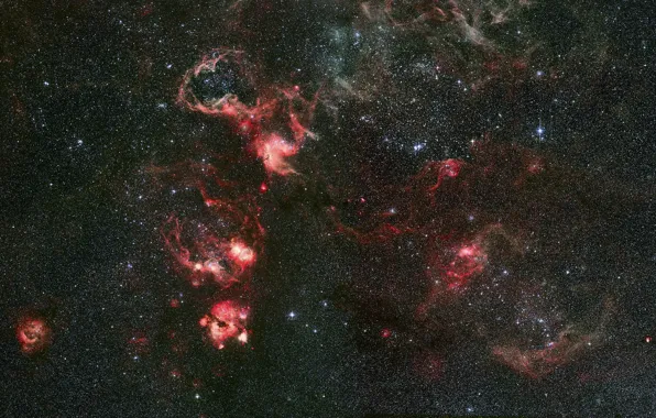 Picture nebula, constellation, Gold Fish, Tarantula, NGC 2070