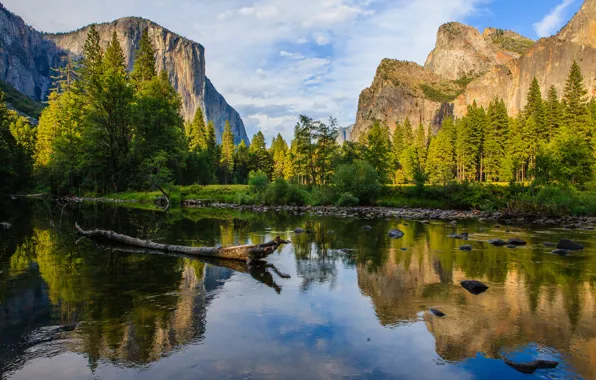 Picture forest, mountains, river, stones, CA, USA, snag, Yosemite National Park