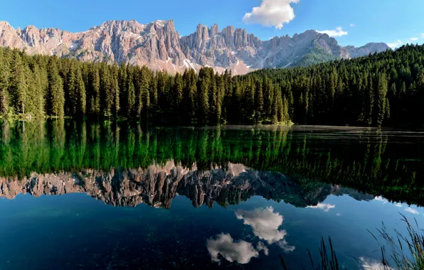 Picture forest, landscape, mountains, nature, lake, reflection