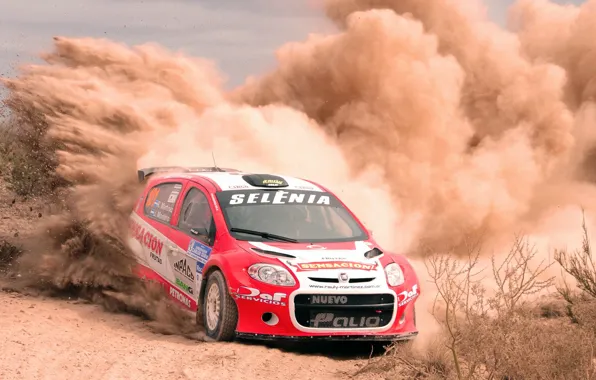 Picture Auto, Dust, Sport, Machine, Turn, Skid, Lights, WRC, Rally, Rally, Fiat, Fiat, The front, Abarth