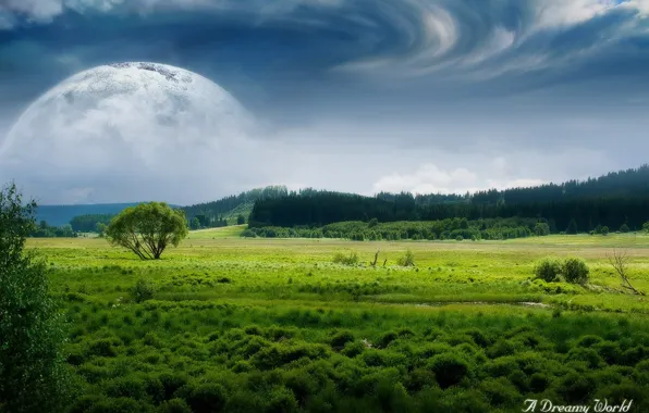 Picture field, forest, clouds, the moon, Dreamy World