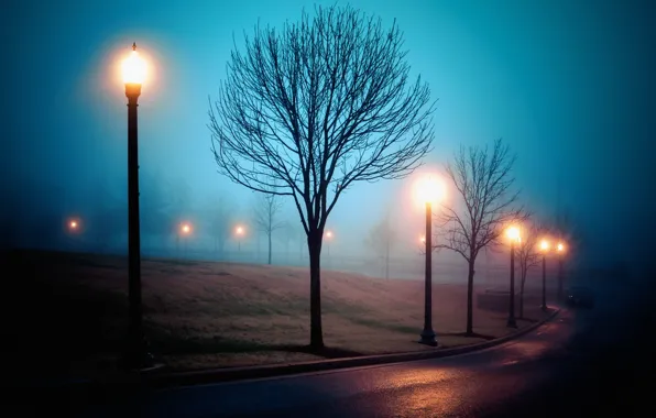 Picture city, park, street, fog, atmosphere, Richmond, Sleep Walking