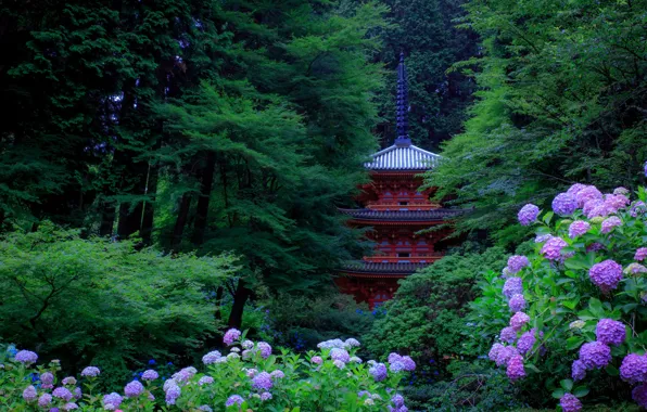 Picture greens, trees, flowers, Park, Japan, pagoda, Kyoto, the bushes, hydrangea