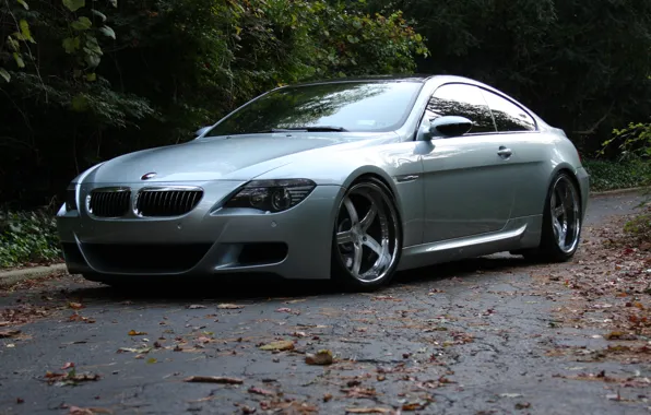 Picture road, leaves, trees, reflection, bmw, BMW, silver, wheels, drives, road, e63, silvery