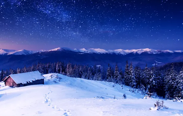 Picture winter, forest, the sky, snow, trees, mountains, houses
