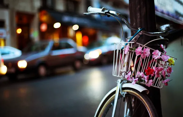 Picture road, flowers, machine, bike, the city, lights, basket, post, the evening, bokeh