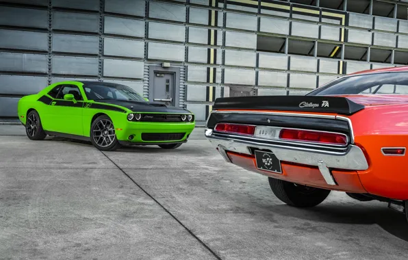 Picture car, green, Dodge, Challenger, wallpapers, T/A