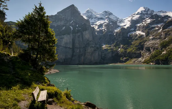 Picture trees, mountains, bench, lake, Switzerland, Switzerland
