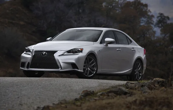 Picture Auto, Lexus, grille, Grey, The hood, Sedan, sport, The front, Overcast, ISF