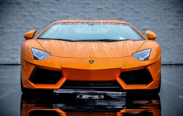 Picture Lamborghini, Orange, Orange, Supercar, LP700-4, Aventador, Supercar, The front