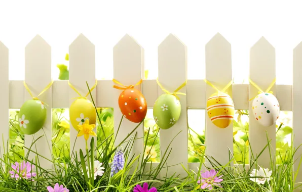 Picture grass, flowers, nature, eggs, spring, Easter