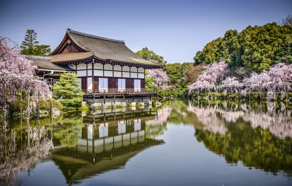 Picture trees, lake, pond, Park, reflection, spring, Japan, Sakura, Japan, Kyoto, Kyoto, pond, The Heian Shrine, …