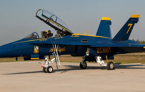 Picture the plane, fighter, usa, blue angel, in.with.navy