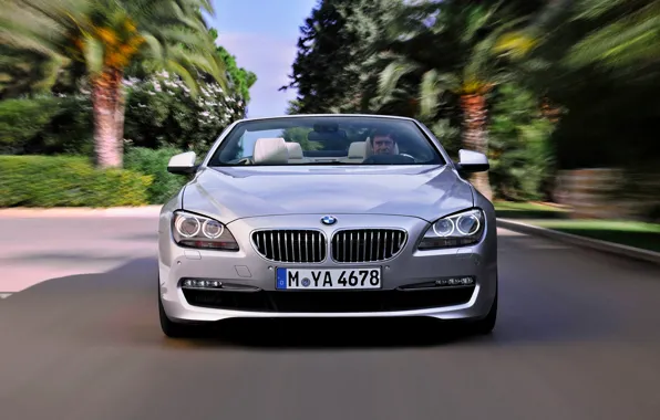 Picture BMW, Grille, BMW, The hood, Day, Lights, Driver, Room, 6 Series, The front, In Motion