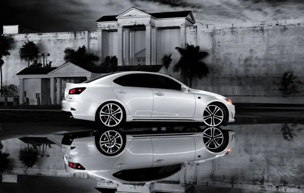 Picture white, reflection, Lexus, Lexus, IS 350, b\W photo, F Sport