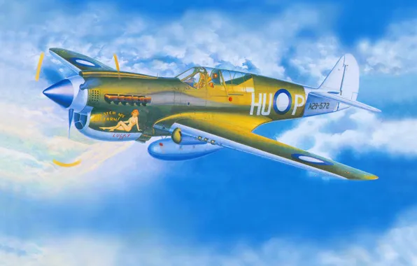 Picture the plane, fighter, art, American, Curtiss, Tomahawk, P-40, Warhawk, WW2., Kittyhawk