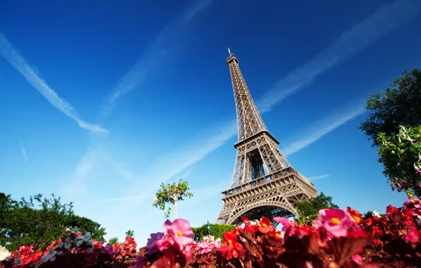Picture the sky, trees, flowers, France, Paris, Eiffel tower, Paris, France, Eiffel Tower, La tour Eiffel
