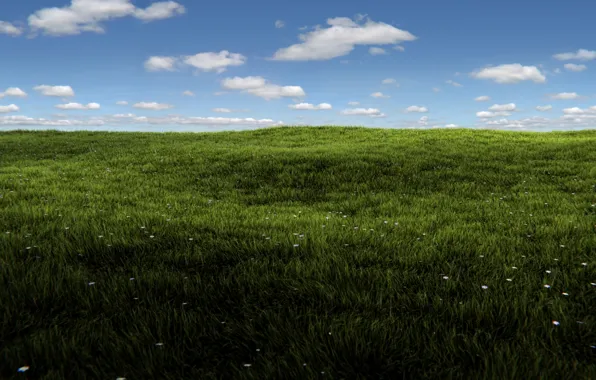Picture greens, field, summer, the sky, grass, the sun, clouds, rendering, Windows, summer, grass, sunshine, render, …