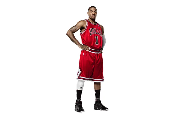 Picture White, The ball, Basketball, Background, Form, Tattoo, Adidas, NBA, Chicago Bulls, Derrick Rose, Bulls, First, …
