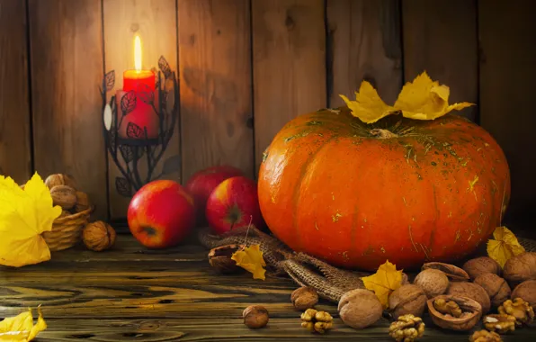 Picture autumn, harvest, pumpkin, autumn, leaves, nuts, still life, fruits, pumpkin, harvest, distal