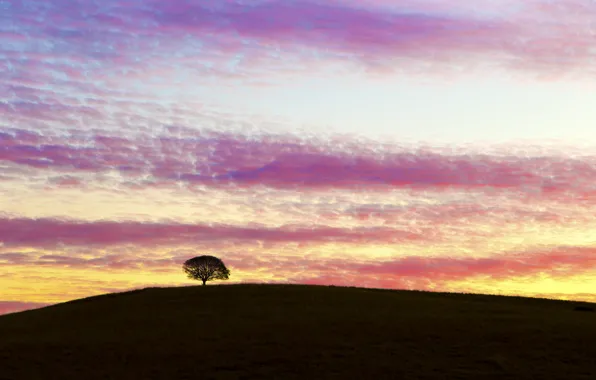 Picture the sky, clouds, sunset, tree, the evening, hill, Australia