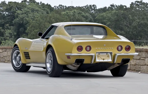 Picture car, machine, Corvette, Chevrolet, Chevrolet, retro, 1970, back, Stingray