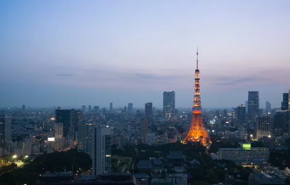 Picture lights, tower, home, the evening, Tokyo, twilight