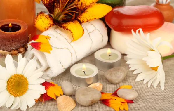 Picture flowers, stones, chamomile, candles, petals, soap, shell, towels, Spa