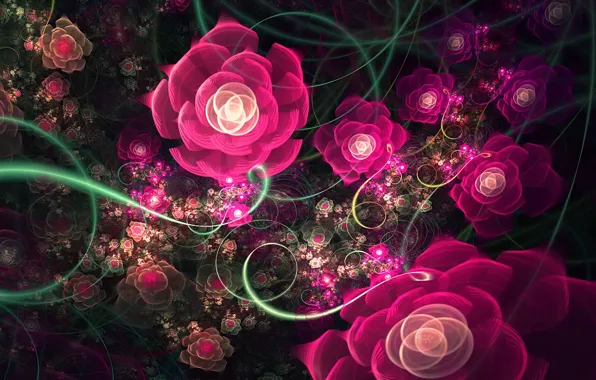 Picture fractals, roses, Pattern