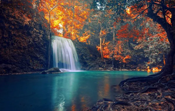 Picture red, golden, forest, Thailand, trees, sunset, beautiful, autumn, waterfall, turquoise, tropical, sun rays, roots