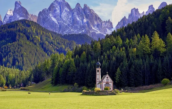 Picture forest, mountains, meadow, Italy, Church, Italy, The Dolomites, South Tyrol, South Tyrol, Dolomites, Funes, Santa …