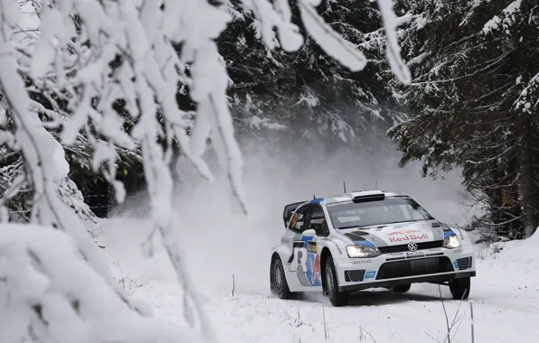 Picture Winter, Auto, Snow, Volkswagen, Race, WRC, Rally, Rally, Polo, S. Ogier, S. Ogier