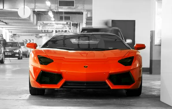 Picture orange, wall, the door, Parking, lamborghini, the front, orange, aventador, lp700-4, Lamborghini, aventador