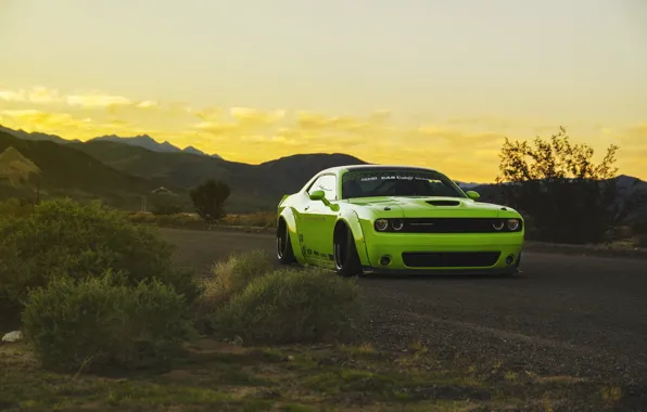Picture green, tuning, Dodge Challenger, tuning, muscle car, low, liberty walk