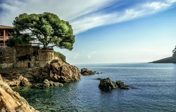 Picture sea, the sky, house, stones, tree, shore, horizon, Spain, Costa Brava