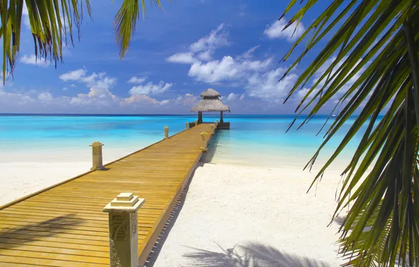 Picture road, sea, beach, leaves, bridge, surface, shore, coast, landscapes, exotic, landscape, Bahamas