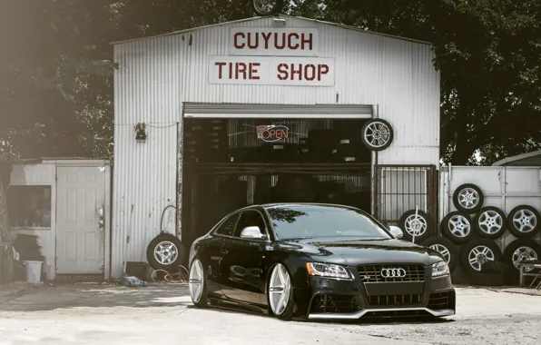 Picture Audi, Auto, The fence, Trees, Tuning, Machine, Landing, Service, Tires