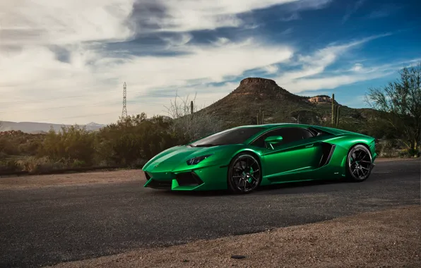 Picture green, supercar, Lamborghini Aventador