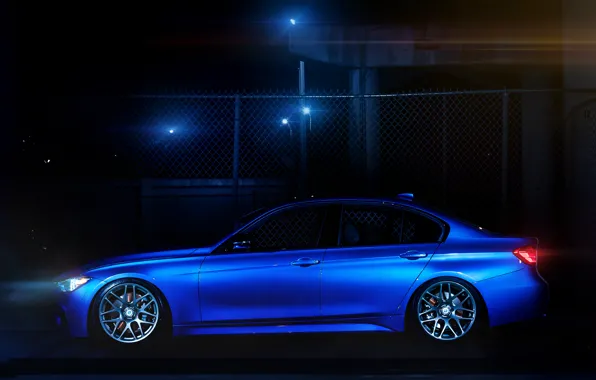Picture blue, bmw, BMW, the fence, profile, 335i, f30