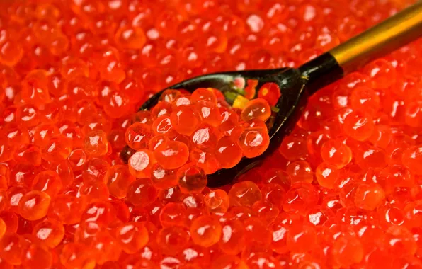 Picture spoon, red, caviar, granular, salmon