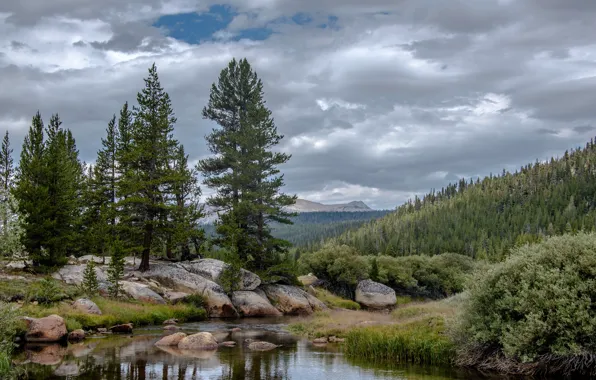 Picture forest, clouds, trees, mountains, clouds, stream, stones, CA, USA, Yosemite, California, Yosemite National Park