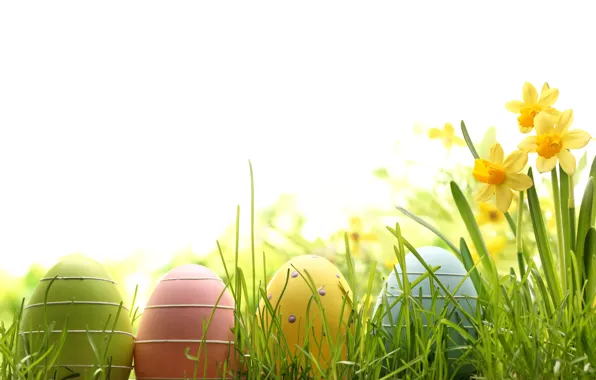 Picture flowers, eggs, spring, Easter, flowers, spring, Easter, eggs, decoration, Happy