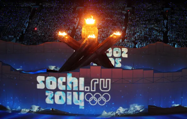 Picture fire, torch, Russia, Sochi 2014, The XXII Winter Olympic Games, Sochi 2014, sochi 2014 olympic …