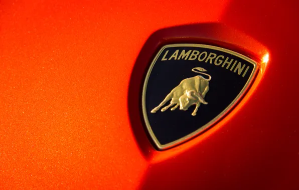 Picture macro, orange, Lamborghini, emblem